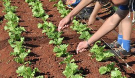 Semarh, Secria e IMA planejam cultivo de hortas e educação ambiental nas creches Cria