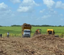 Decreto da subvenção para cana no Nordeste é publicado; saiba como participar