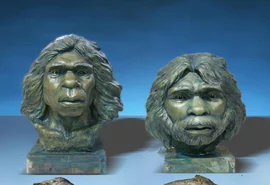 Estudo revela a presença de habitantes na China 600 mil anos antes do estimado