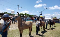 Foram mais de 18 mil pessoas que passaram pelo Parque da Pecuária.