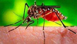 Dengue ameaça estados do Nordeste, Espírito Santo e Rio