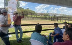 Apresentação dos bovinos nelore.