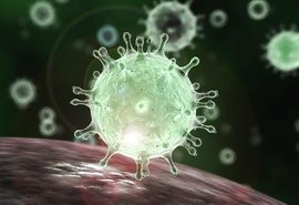 Bolsonaro sanciona lei para enfrentamento do novo coronavírus