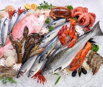 MPA e Mapa definem Nota Fiscal do Pescado como documento oficial de origem do pescado