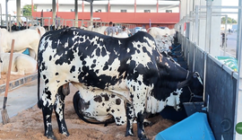 Confira as atrações da Expoalagoas Genética 2026
