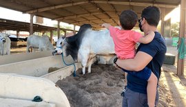 Parque da Pecuária já recebeu 10 mil visitantes na 71ª Expoagro Alagoas