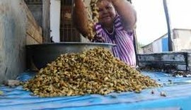 Pescadores e marisqueiras se arriscam para manter sustento em Alagoas