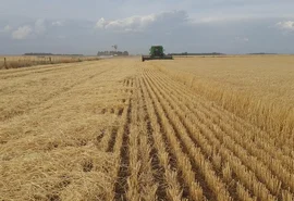 Inflação medida pelo IGP-10 tem alta de 0,21% em setembro, menor que a esperada