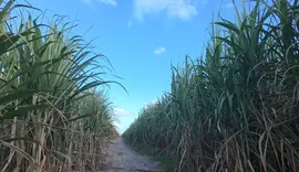 PIB de Alagoas deve crescer 2,1% em 2026, aponta estudo
