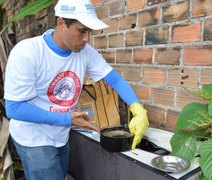 Secretaria pede que municípios intensifiquem ações contra o aedes aegypti