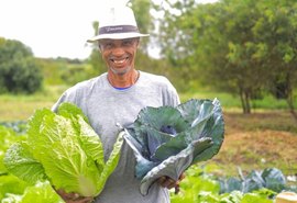 Município alagoano irá investir cerca de R$ 3 mi em alimentos da agricultura familiar