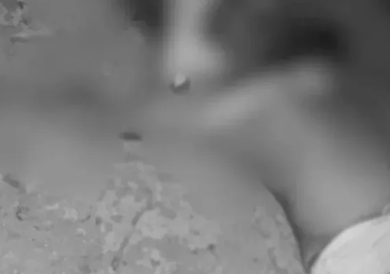 Padrasto é morto a facadas pelo próprio enteado após confraternização em AL