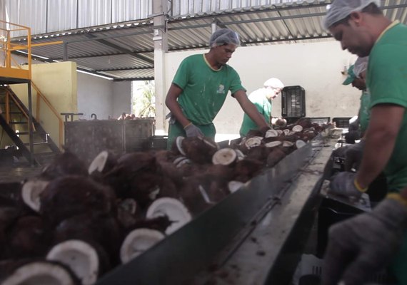 Redução na mistura de biodiesel ao  diesel deve afetar agricultura familiar