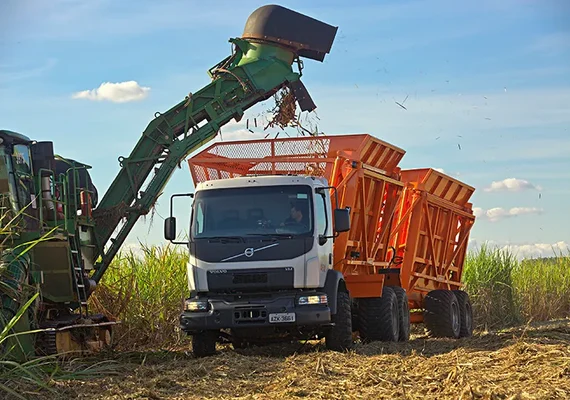 CMAA tem moagem de cana e lucro recordes em 2021/22, com quase 8 mi de toneladas processadas