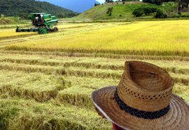 Governo deve disponibilizar R$ 2 bilhões para o Seguro Rural