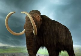 Mamute com marcas de abate humano é achado na Alemanha