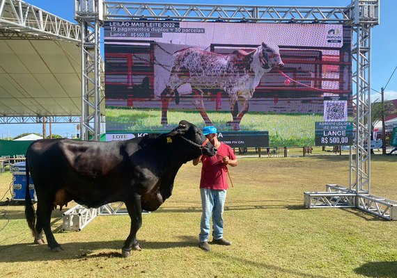 Calendário de eventos da 73ª Expoagro Alagoas está mais fortalecido