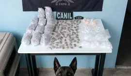 Cães da PM localizam mais de 1,2 mil porções de drogas em Arapiraca