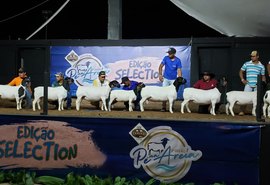 Leilões da Expoagro/AL trazem as melhores genéticas do mercado