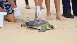 Biota, MPAL e MPF participam de soltura de tartaruga marinha em Maceió