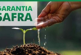 Agricultor pode fazer consulta online do Programa Garantia-Safra