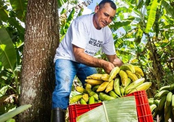 Estudo da ACI Américas destaca avanços do coop entre 2012 e 2025