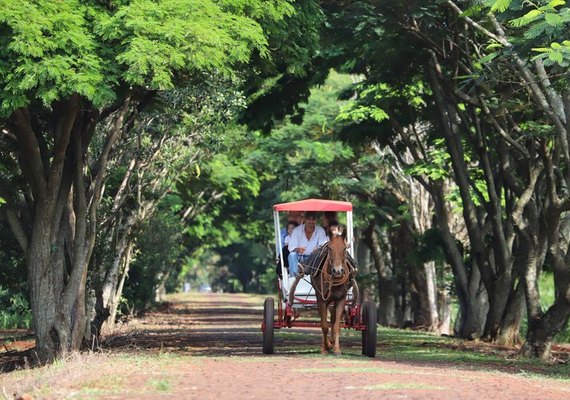 Edital seleciona roteiros turísticos para a segunda edição do projeto Experiências do Brasil Rural