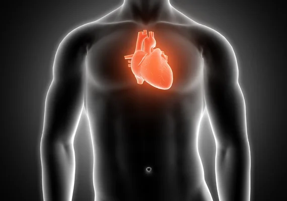 Estudo detecta microplásticos no sangue de vítimas de infarto