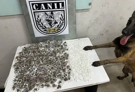 Canil da PM apreende maconha e cocaína em área de mata em Arapiraca