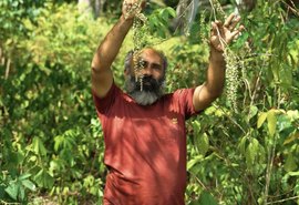 Fazendinha Agroecológica no Flexal garante renda e alimentos saudáveis para Maceió