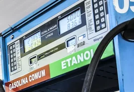 Aumento do etanol na gasolina deve ajudar safra em AL