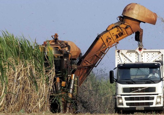 Ministros da Agricultura do G-20 criticam protecionismo