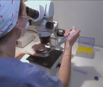 Técnica que envolve DNA de 3 pessoas gera bebês livres de doenças