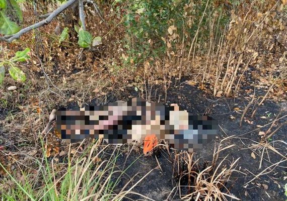 Corpo carbonizado é encontrado por populares em povoado de Marechal Deodoro