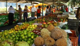 Arapiraca antecipa feiras livres acontecem neste domingo (28)