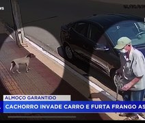 VÍDEO: Cachorro é flagrado entrando em carro e 'roubando' frango assado