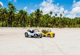 'A única trilha que a gente quer é a do chinelo na areia': Maragogi proíbe tráfego de veículos nas praias