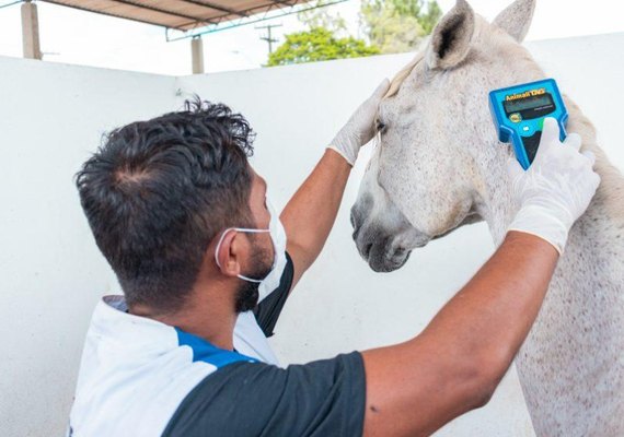 Centro de Zoonoses atua na prevenção de doenças transmitidas por animais