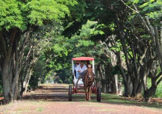 Formalização de políticas públicas direcionadas ao setor de turismo rural é aprovado na Câmara dos Deputados