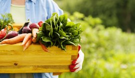 Ministério da Agricultura lança campanha para promover orgânicos