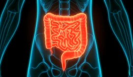 Estudo aponta que adoçante pode afetar bactérias benéficas do intestino