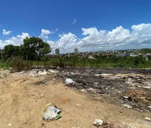 Fiscais ambientais vistoriam local de incêndio em Cruz das Almas