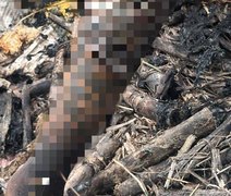 Corpo carbonizado é encontrado em canavial no Cruzeiro do Sul, em Alagoas