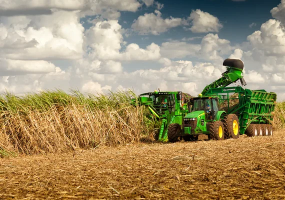 Mecanização em AL já responde por quase 30% da colheita