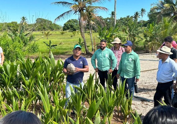 Dia de Campo da Coopaiba vai incentivar produção  em consórcio na agricultura familiar