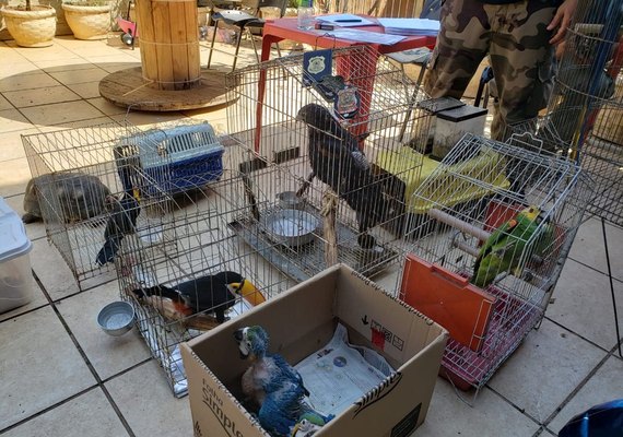 PF prende um dos principais traficantes de animais do país