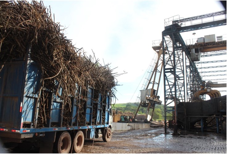 Isolamento social preocupa produtores do setor sucroenergético