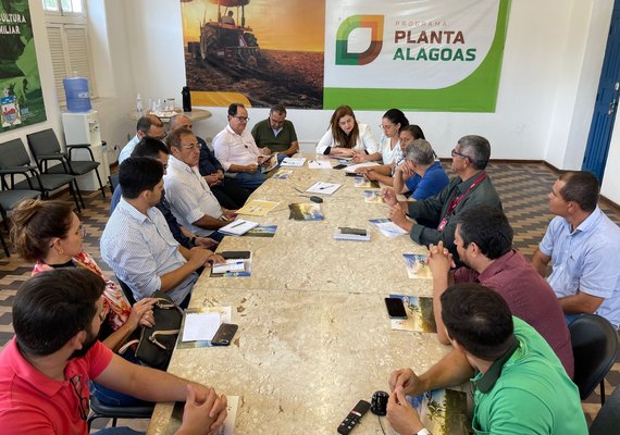 Diretores da Unicafes-AL participam de reunião de retomada da Câmara Setorial da Mandioca