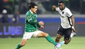 Palmeiras e Botafogo jogam por liderança do Campeonato Brasileiro