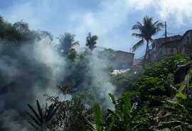 Corpo de bombeiros é acionado para conter chamas em vegetação no Reginaldo